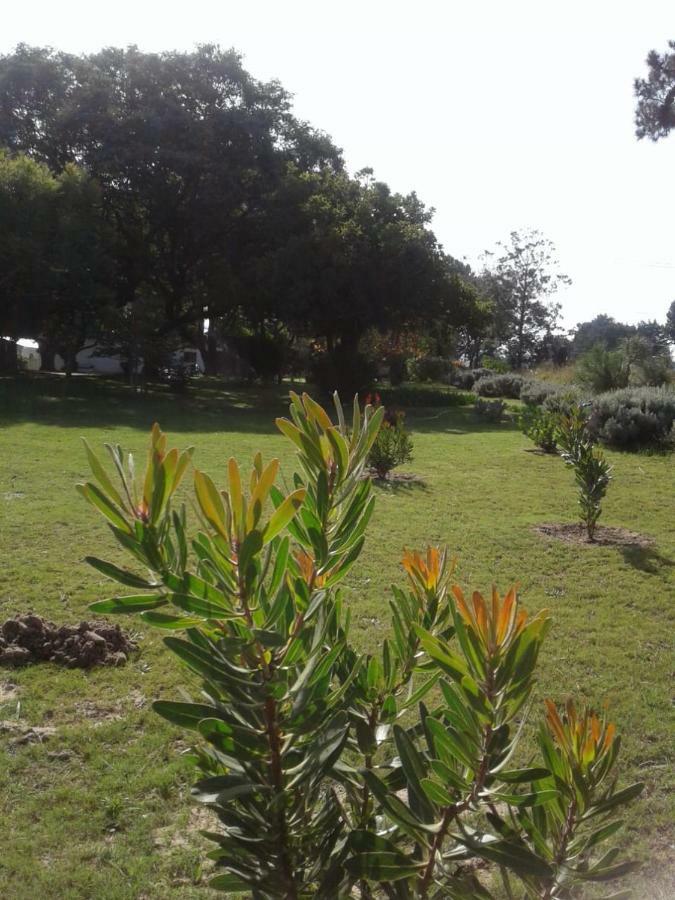 Guinea Fowl Villa Plettenberg Bay Dış mekan fotoğraf