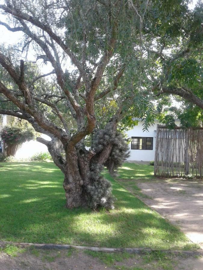 Guinea Fowl Villa Plettenberg Bay Dış mekan fotoğraf